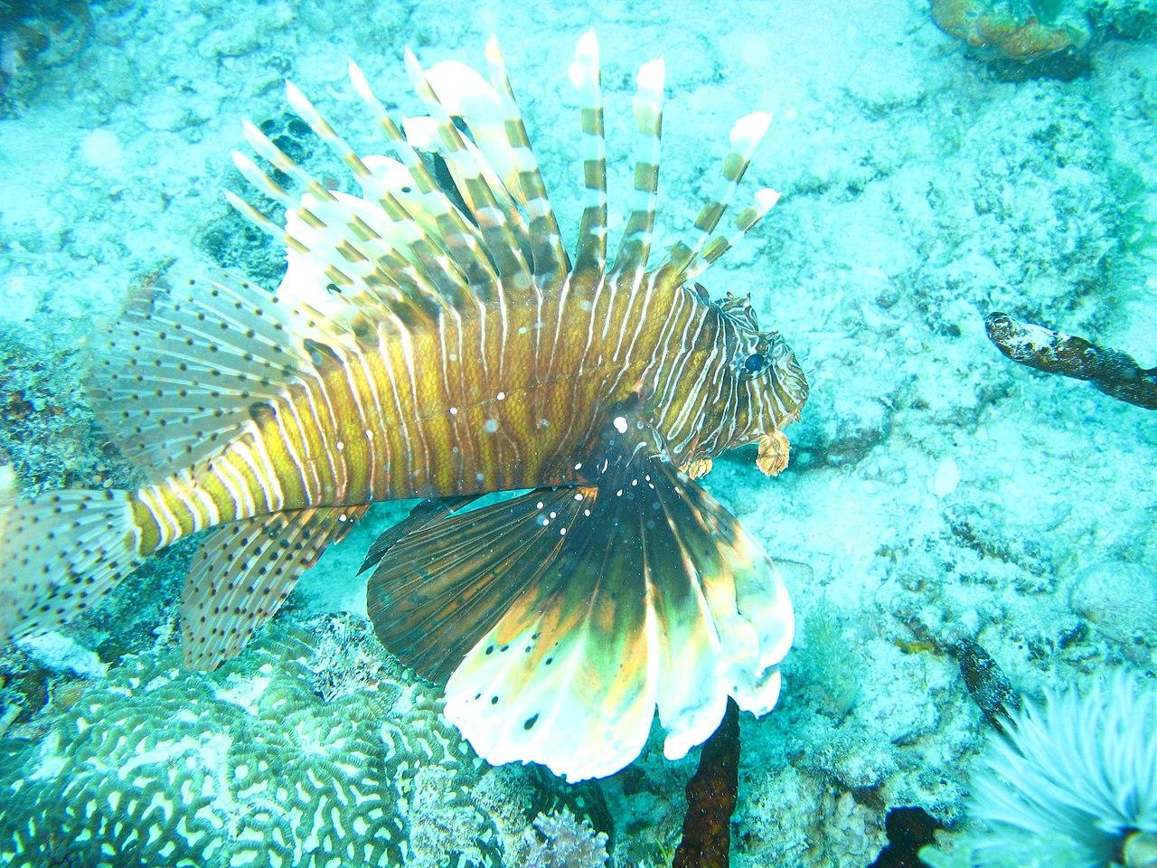 Zanzibar Archipelago, Tanzania